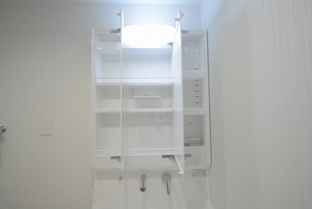 メゾンドール本郷 洗面