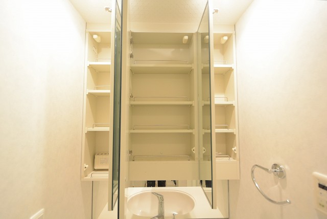 小石川ザ・レジデンス 洗面