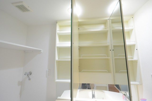 サンウッド新宿戸山フラッツ 洗面