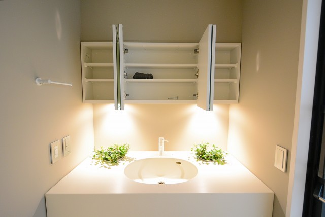 イトーピア渋谷桜ヶ丘 洗面