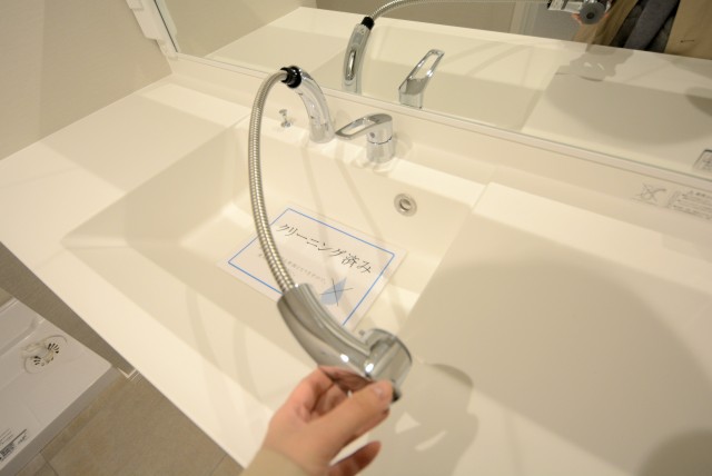 グリーンヒル小石川 洗面