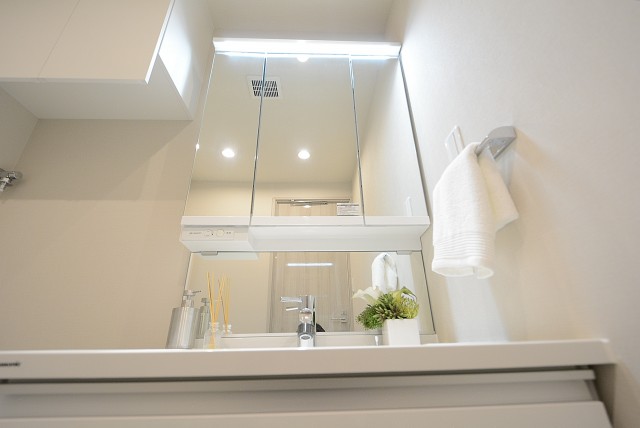 学芸大ハイツ 洗面