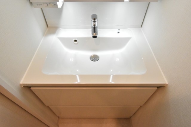 目白ガーデニア 洗面室