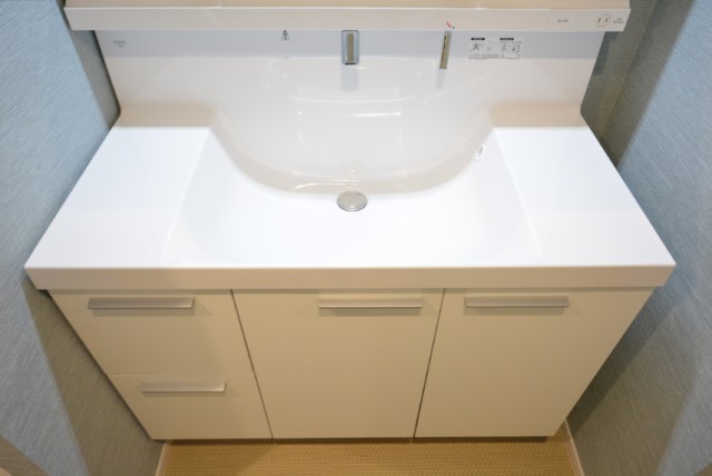 フォルスコート目黒大橋 洗面室