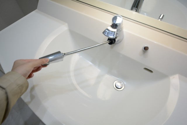 サンウッド新宿戸山フラッツ 洗面