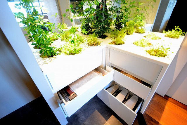 イトーピア渋谷桜ヶ丘 玄関