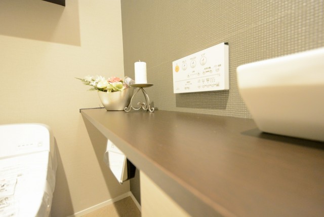 外苑パークホームズ トイレ