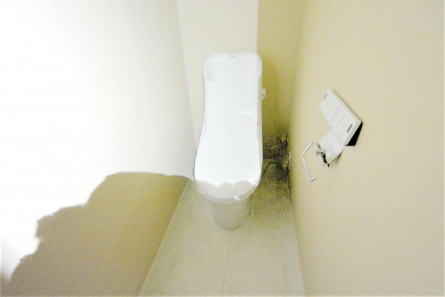 イトーピア渋谷桜ケ丘トイレ