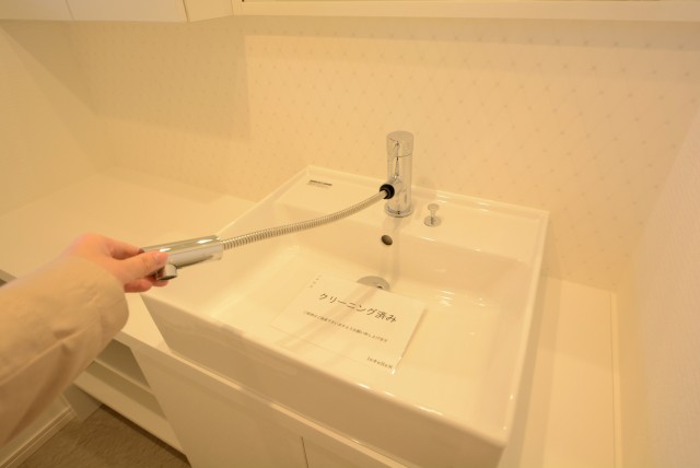 本郷サンハイツ 洗面