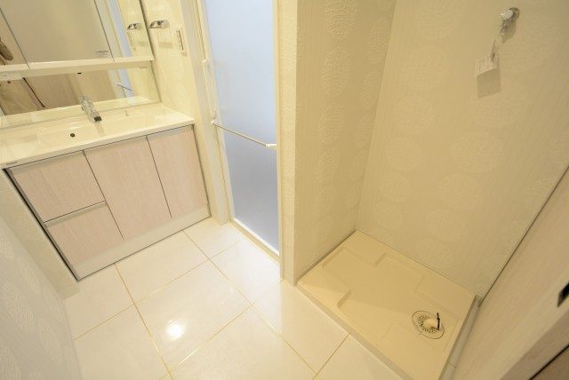 東急アルス本郷 洗面