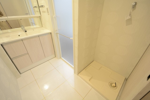 東急アルス本郷 洗面