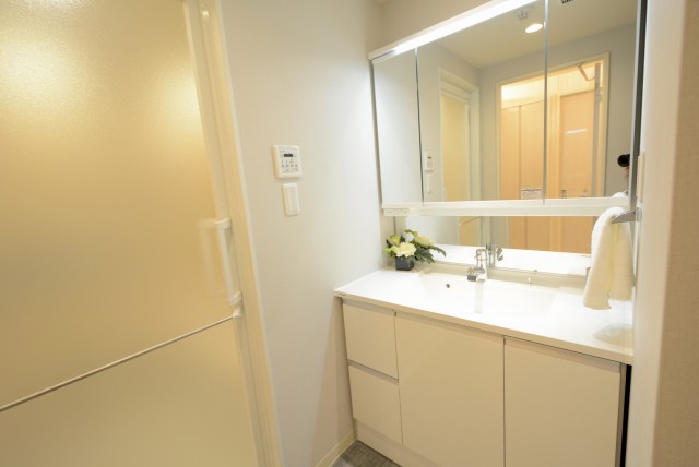 サンビューハイツ渋谷 洗面