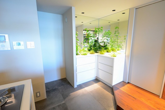 イトーピア渋谷桜ヶ丘 玄関