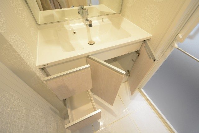 東急アルス本郷 洗面