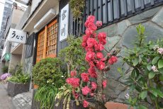 ダイナシティ碑文谷