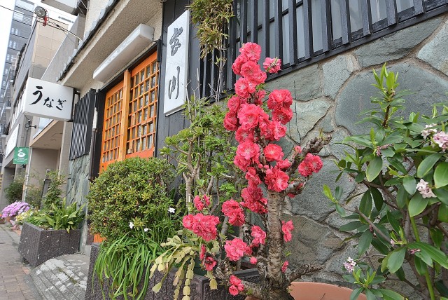 ダイナシティ碑文谷