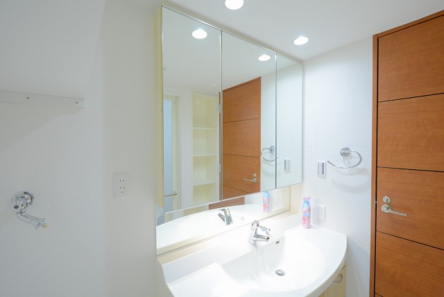 サンウッド新宿戸山フラッツ 洗面