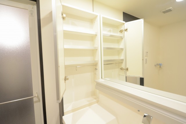 フォルスコート目黒大橋 洗面