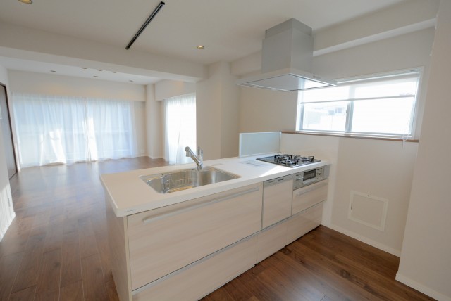 コープ高輪 (40)キッチン