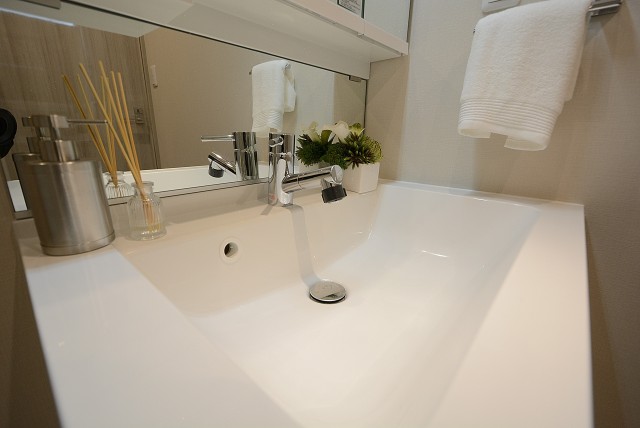 学芸大ハイツ 洗面