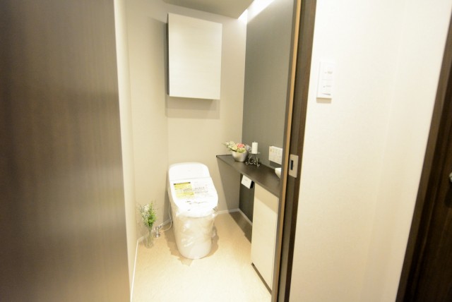 外苑パークホームズ トイレ