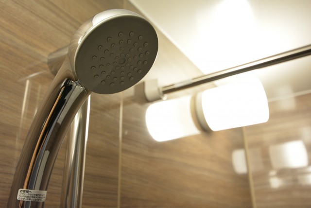 メゾンドール本郷 浴室