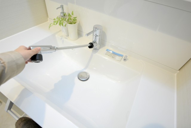 グランドメゾン新宿東 洗面