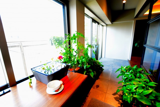 イトーピア渋谷桜ヶ丘 バルコニー