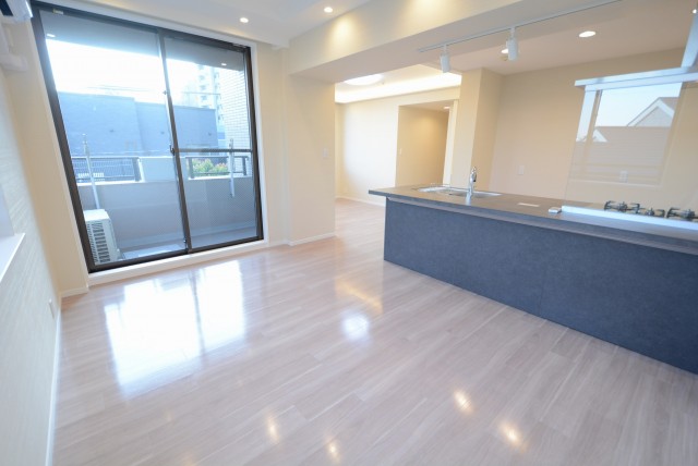 ディアナコート高輪 LD