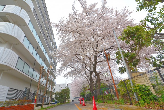 学芸大スカイハイツ