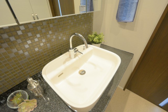 外苑パークホームズ 洗面