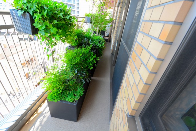 イトーピア渋谷桜ヶ丘 バルコニー