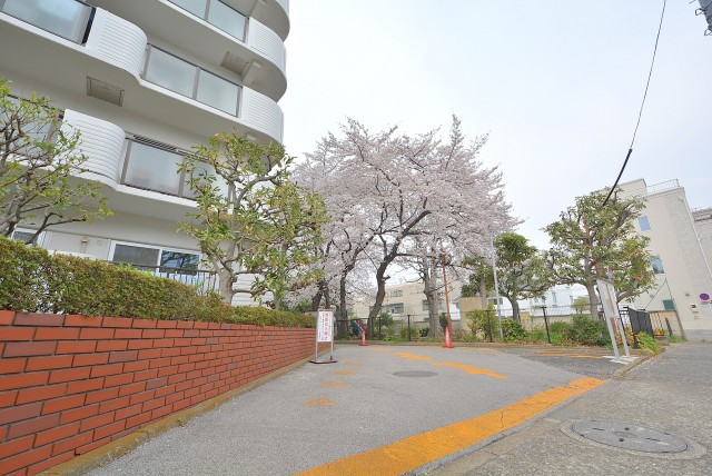 学芸大スカイハイツ