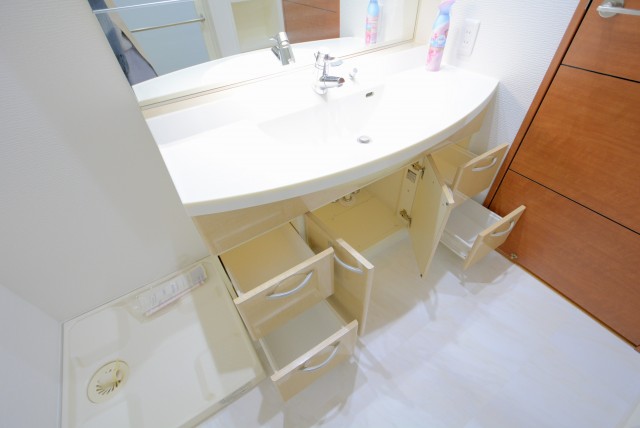 サンウッド新宿戸山フラッツ 洗面