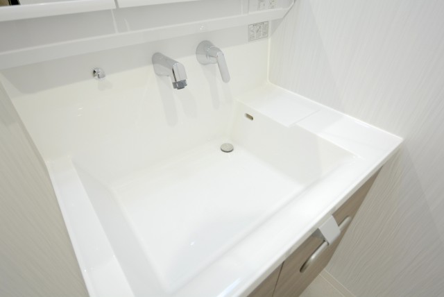 メゾンドール本郷 洗面