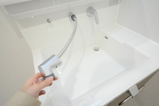 メゾンドール本郷 洗面