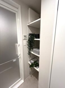 シャンボール恵比寿洗面室