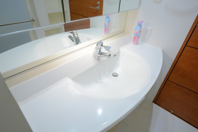 サンウッド新宿戸山フラッツ 洗面