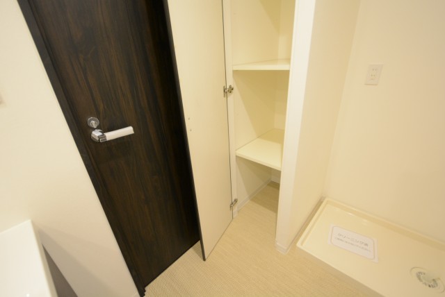 フォルスコート目黒大橋 洗面