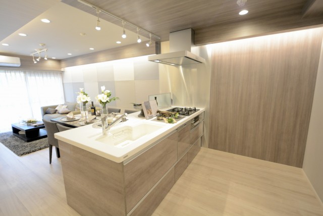 サンビューハイツ渋谷 (27)キッチン