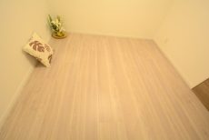 グランドメゾン新宿東 S