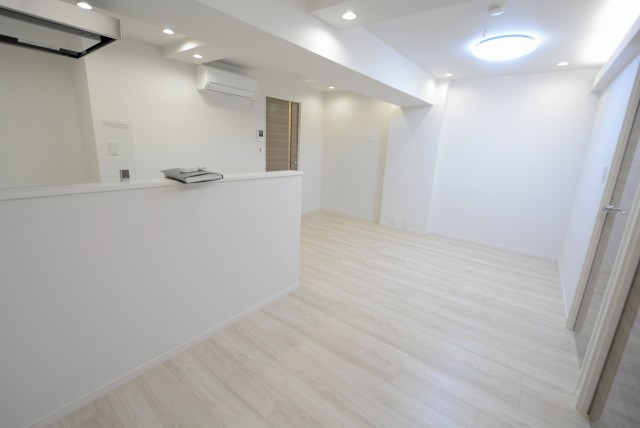 メゾンドール本郷 LD