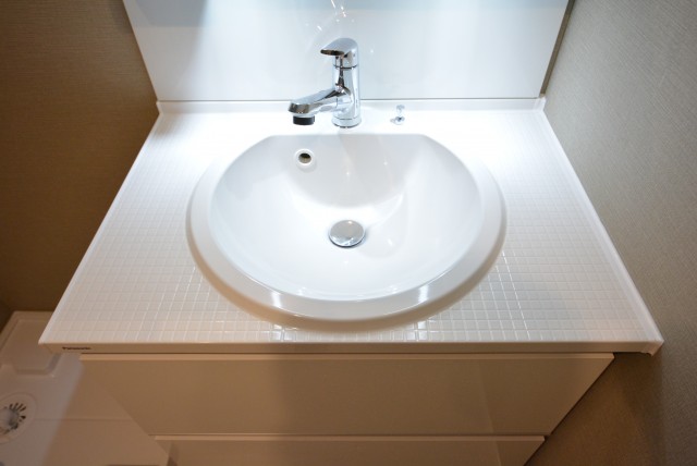 メゾンドール本郷 洗面室