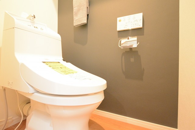 学芸大スカイハイツ