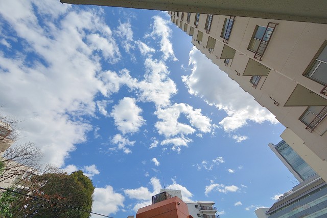 新池田山マンション (96)