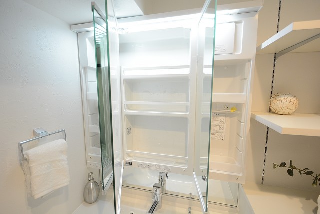 南平台マンション 洗面