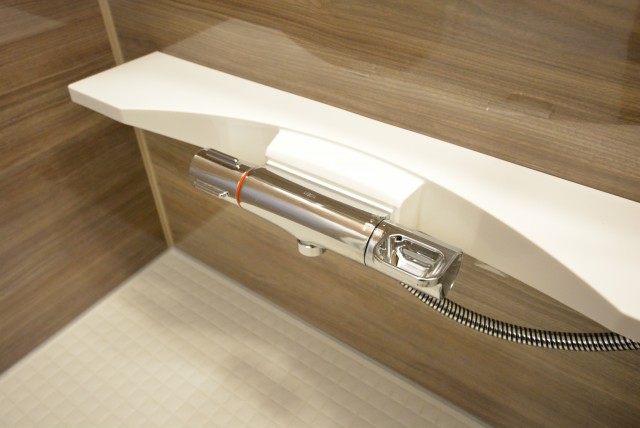 メゾンドール本郷 浴室