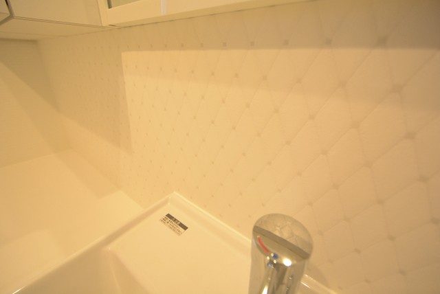 本郷サンハイツ 洗面