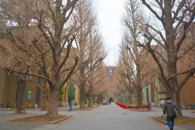 本郷三丁目駅周辺 (24)東大