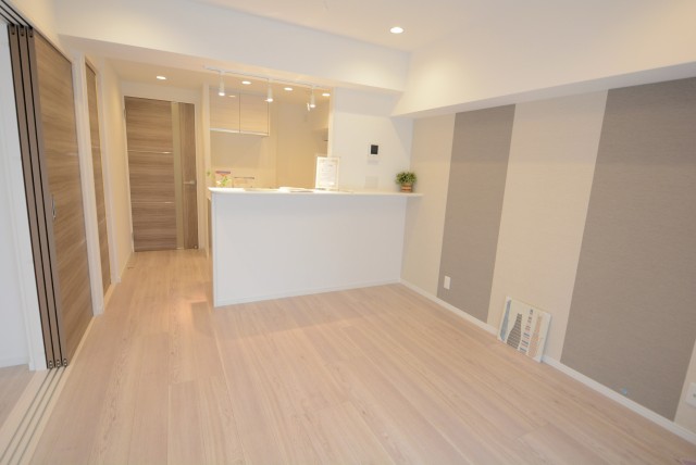 グランドメゾン新宿東 LD